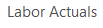 1. Labor Actuals - Daily